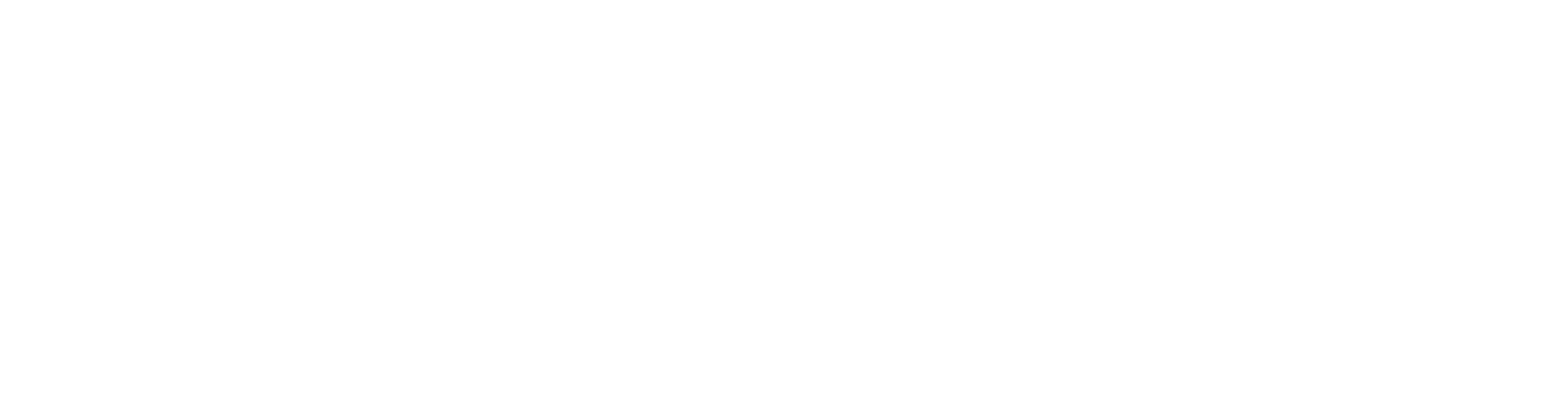 Pega logo